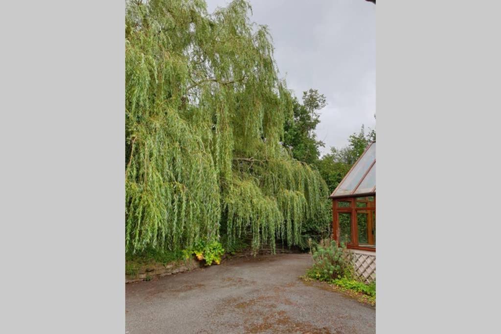 Willow Lodge 阿伯加文尼 外观 照片